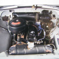 IMG 0126