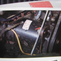 IMG 0129