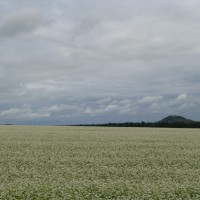 По пути в Белокуриху