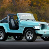 1997–2006. Xenon Jeep Wrangler WW (TJ)