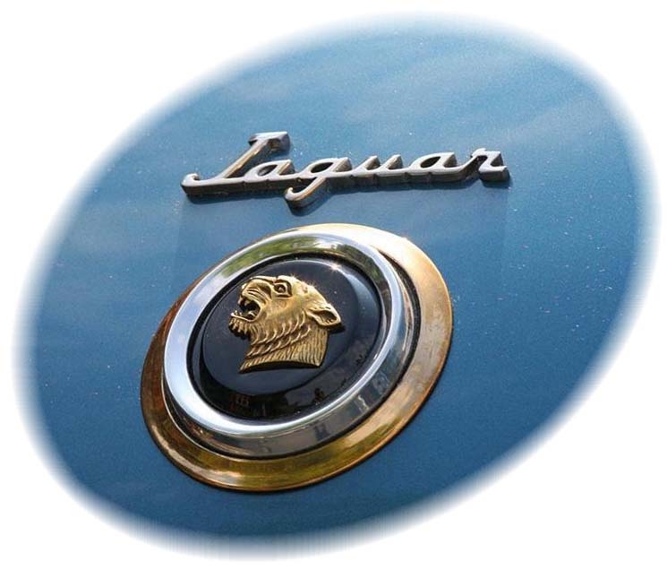 1952. Jaguar XK 120 Ghia Supersonic Coupe (1952 hood emblems)
