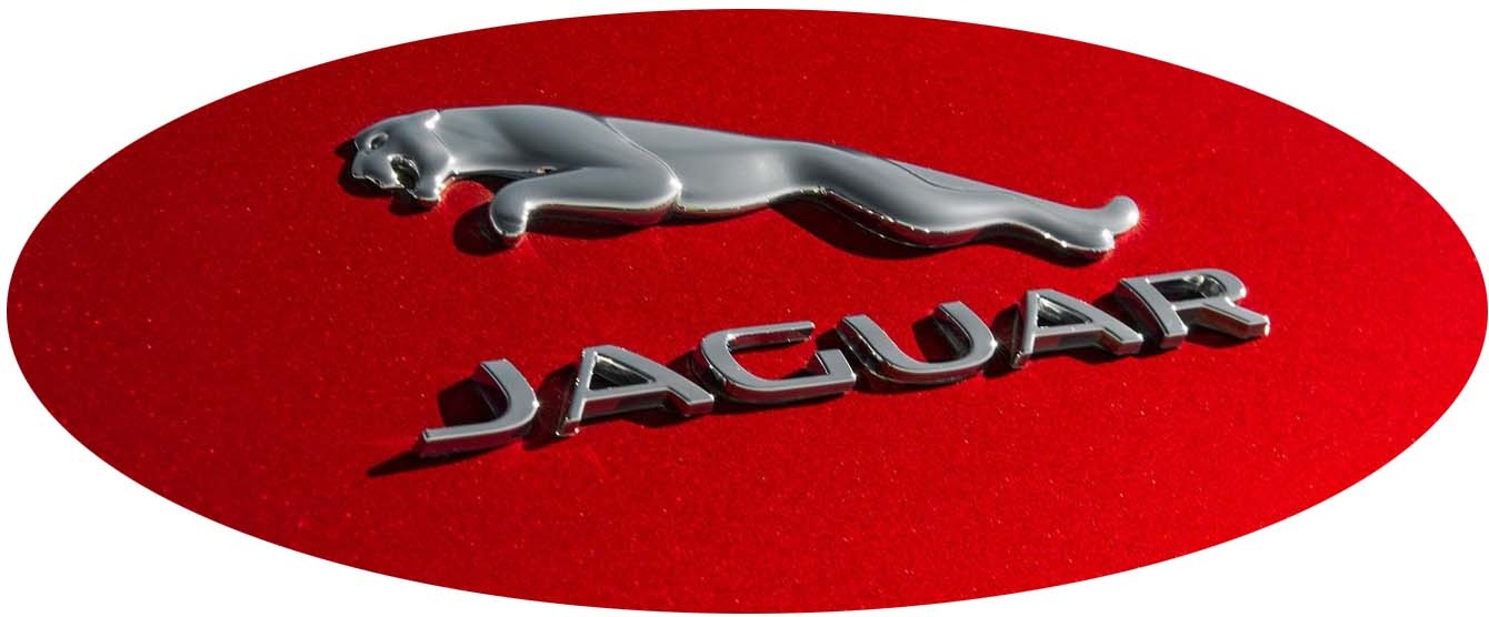 2015. Jaguar F-Type R Coupe (2015 trunk emblem)
