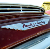 austin_healey6